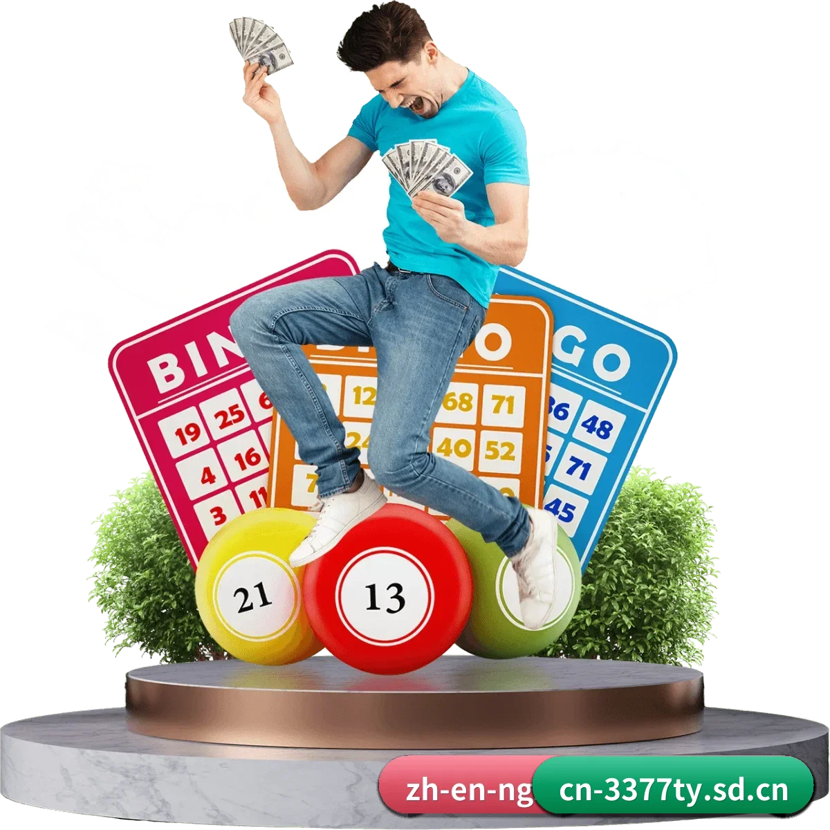 品牌创立与认证(3377ty)